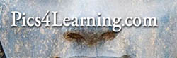 http://www.pics4learning.com/ 